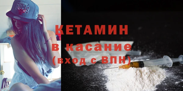 прущие грибы Заводоуковск