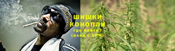 спайс Ельня