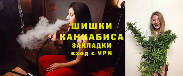спайс Ельня