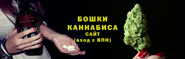 альфа пвп Елизово