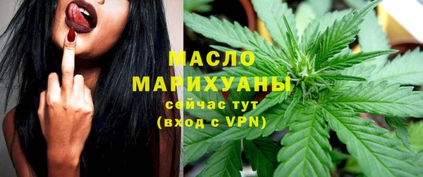 спайс Ельня