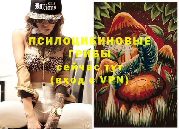 спайс Ельня