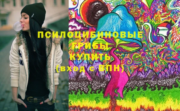спайс Ельня